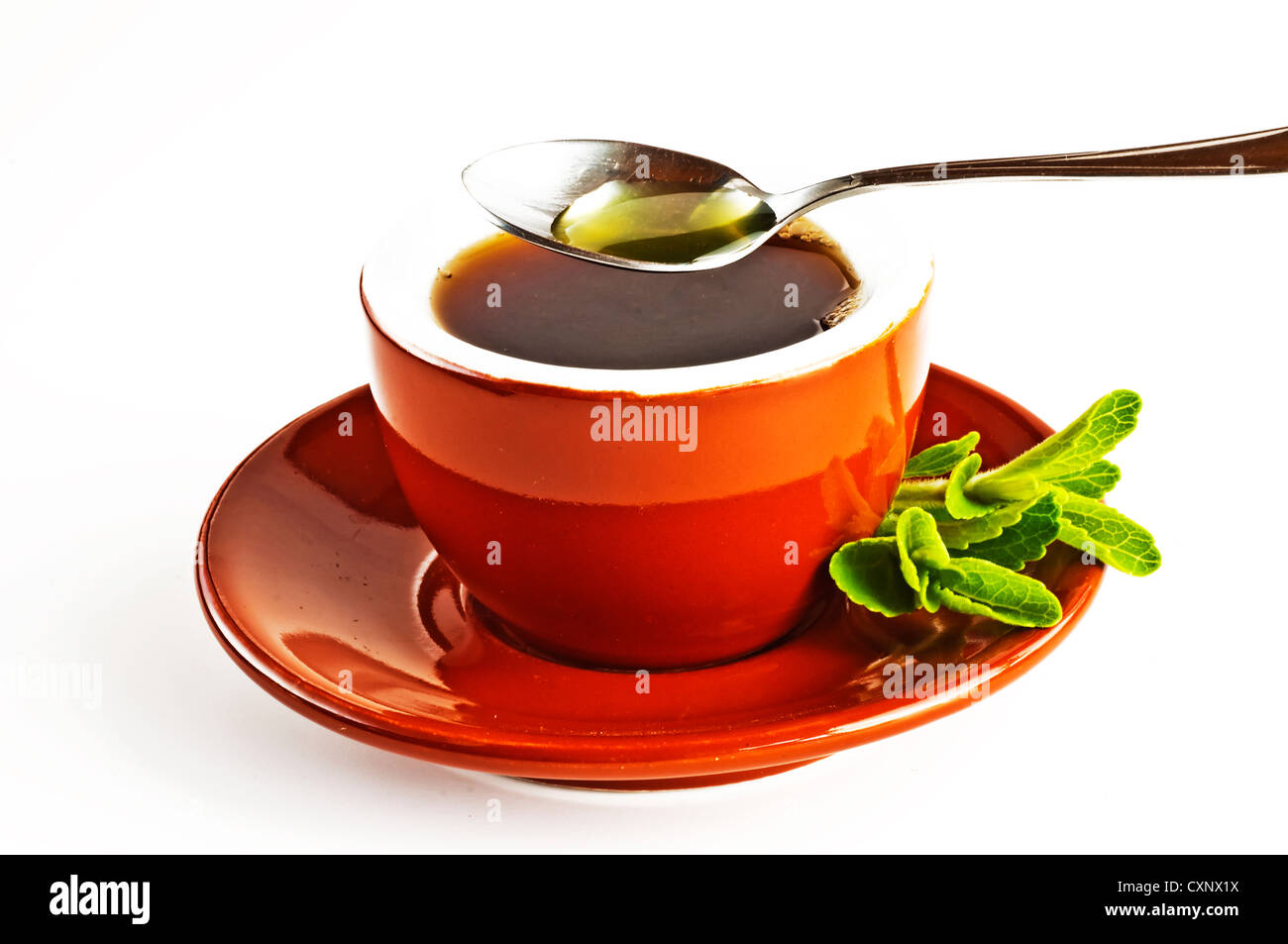 Le Stevia rebaudiana extrait fluide de support à base de sucre avec zéro calorie Banque D'Images