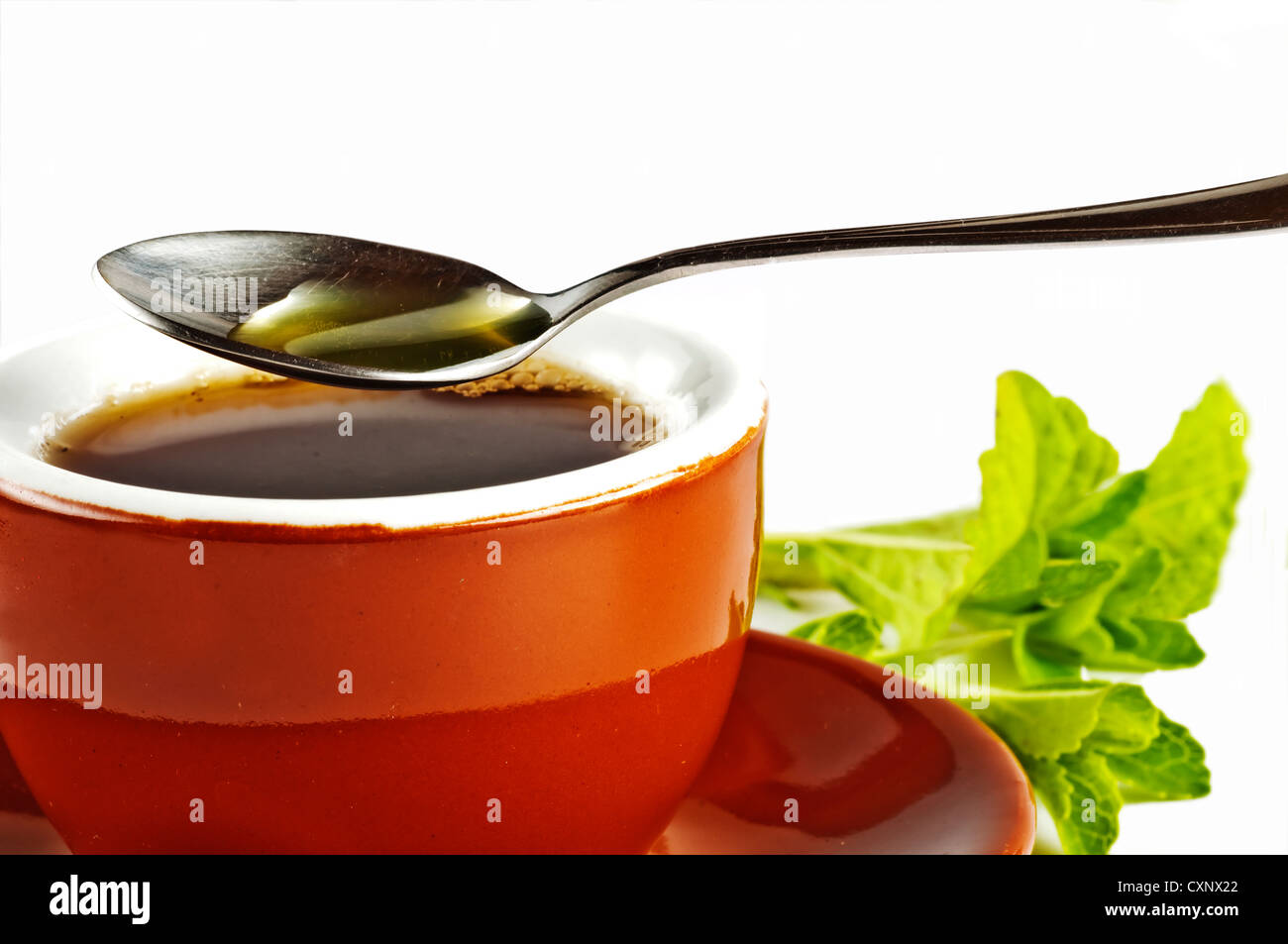 Le Stevia rebaudiana extrait fluide de support à base de sucre avec zéro calorie Banque D'Images