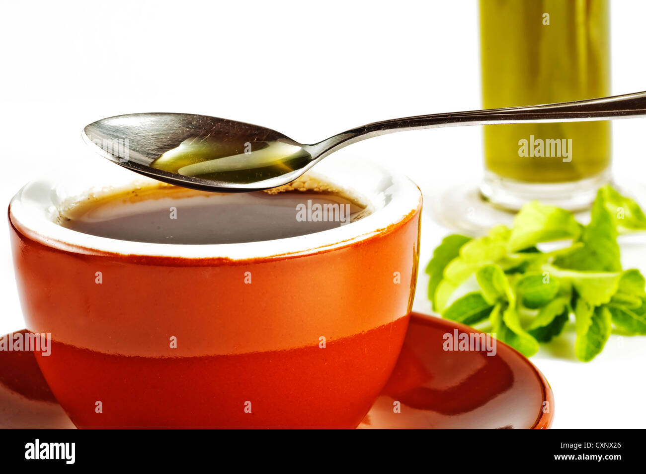 Le Stevia rebaudiana extrait fluide de support à base de sucre avec zéro calorie Banque D'Images