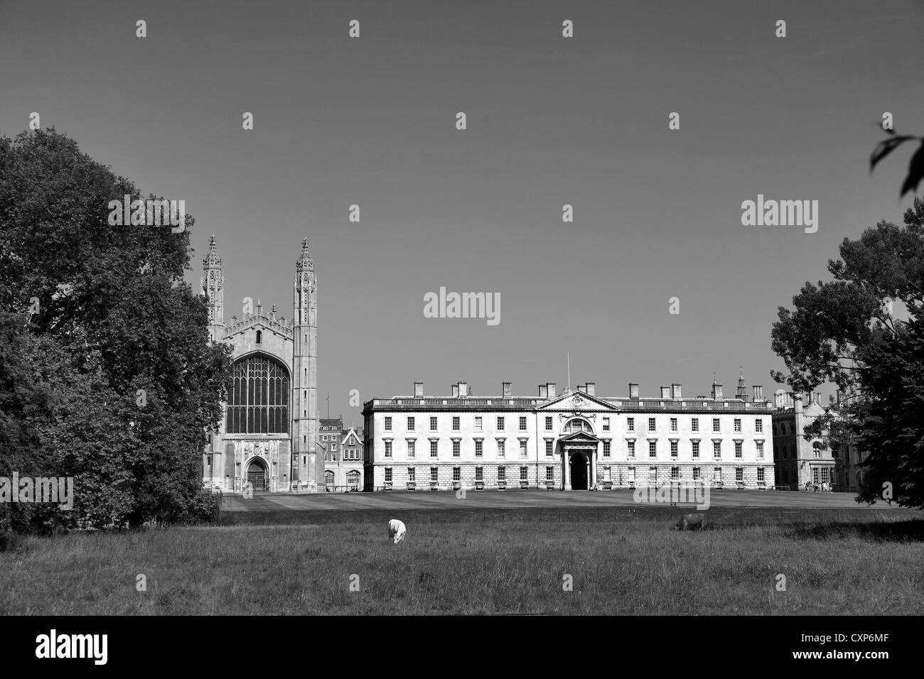 Vue d'été de la Dos pâturages aux Kings College Chapel, ville universitaire de Cambridge, Cambridgeshire, Angleterre, RU Banque D'Images