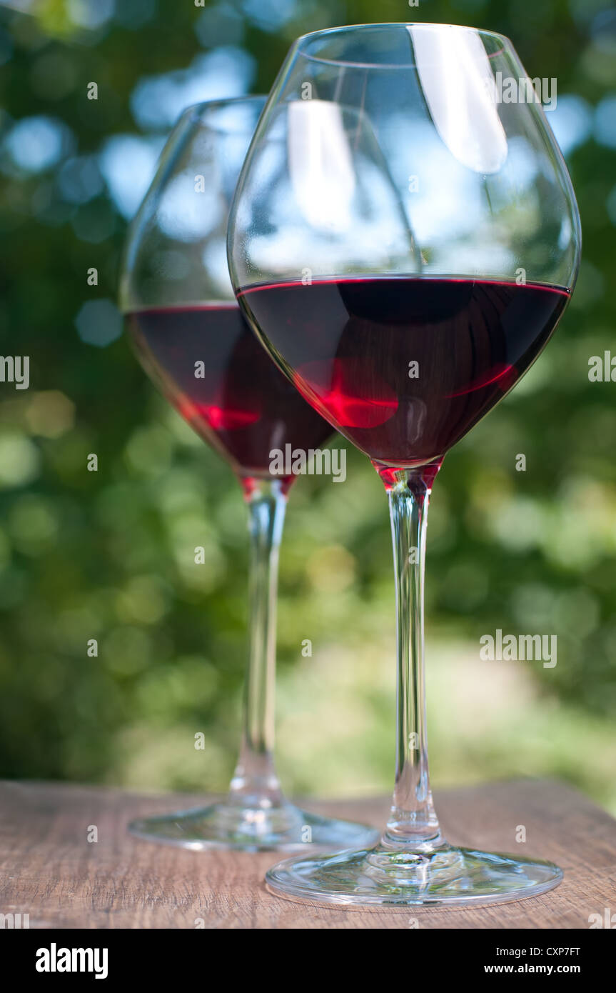 Deux verres à vin dans le jardin Banque D'Images