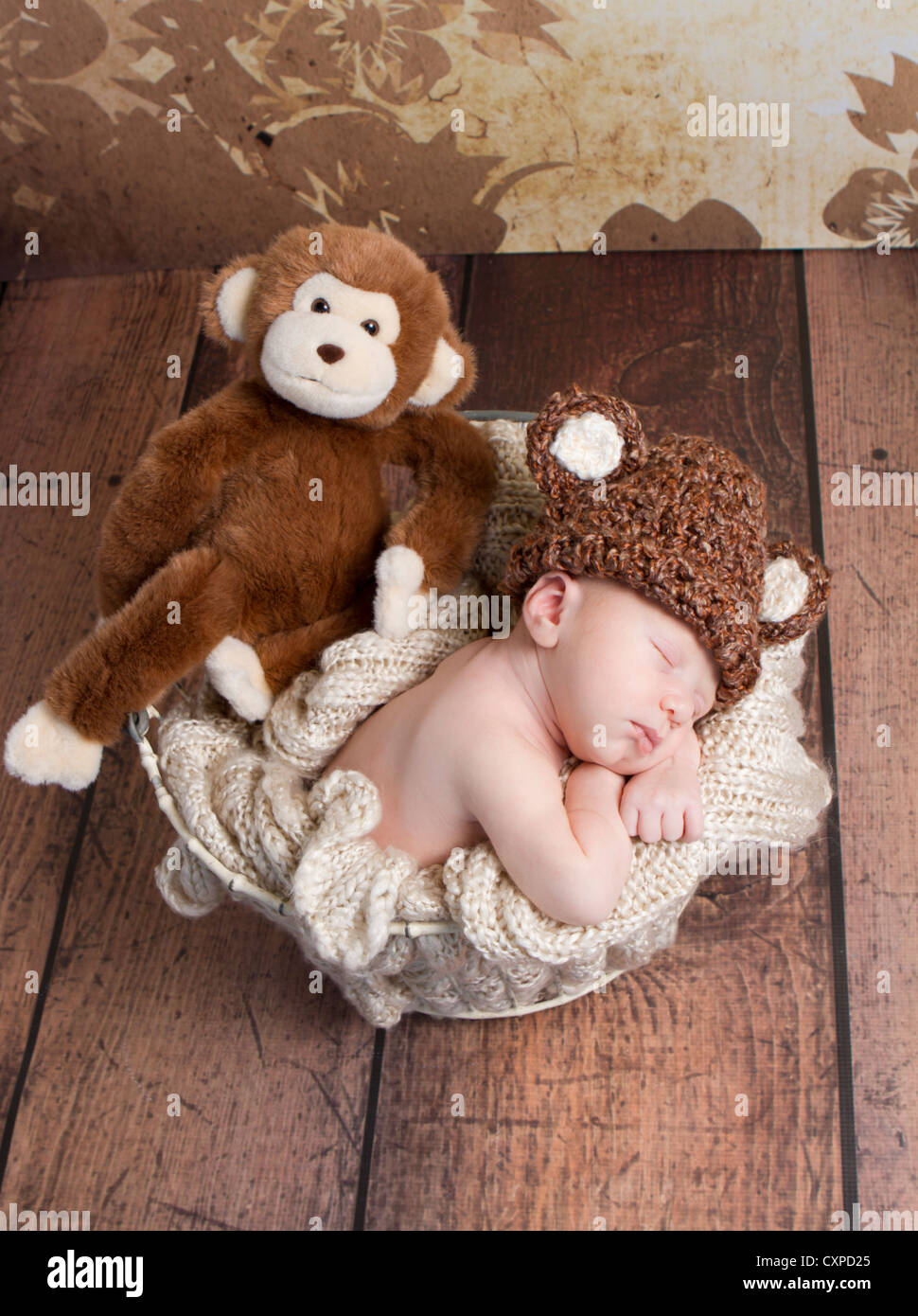 Magnifique petit garçon et le singe Banque D'Images