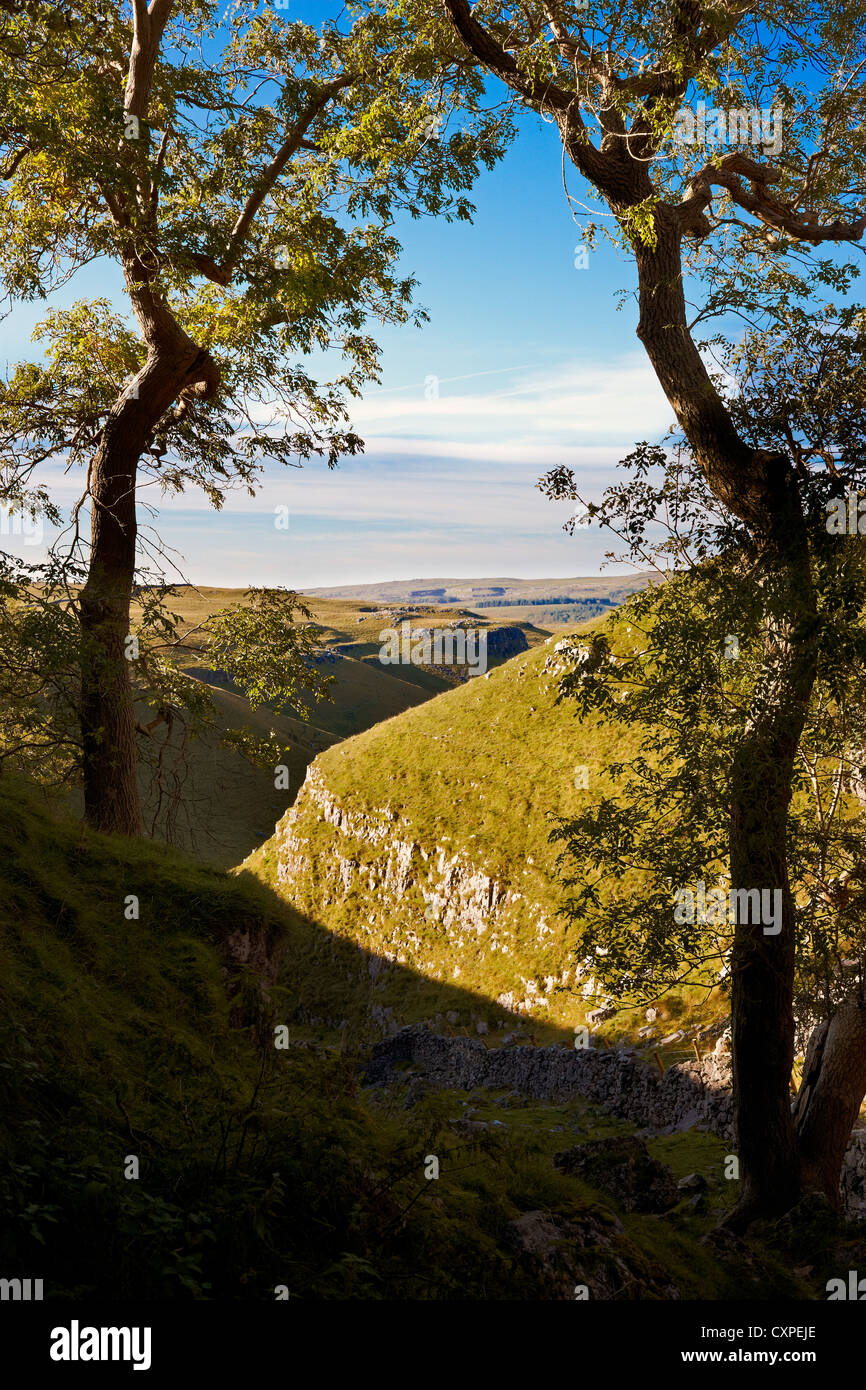 Vue vers le bas Conistone Dib, une gorge de calcaire dans le Yorkshire Dales Banque D'Images