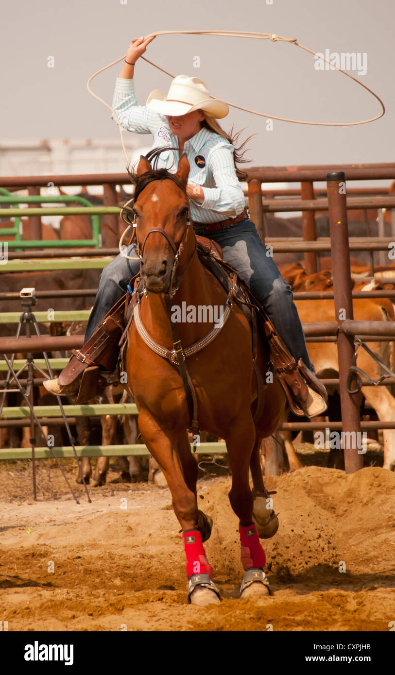 Cowgirl sur son cheval de selle Calf roping au rodéo event, Bruneau, New York, USA Banque D'Images