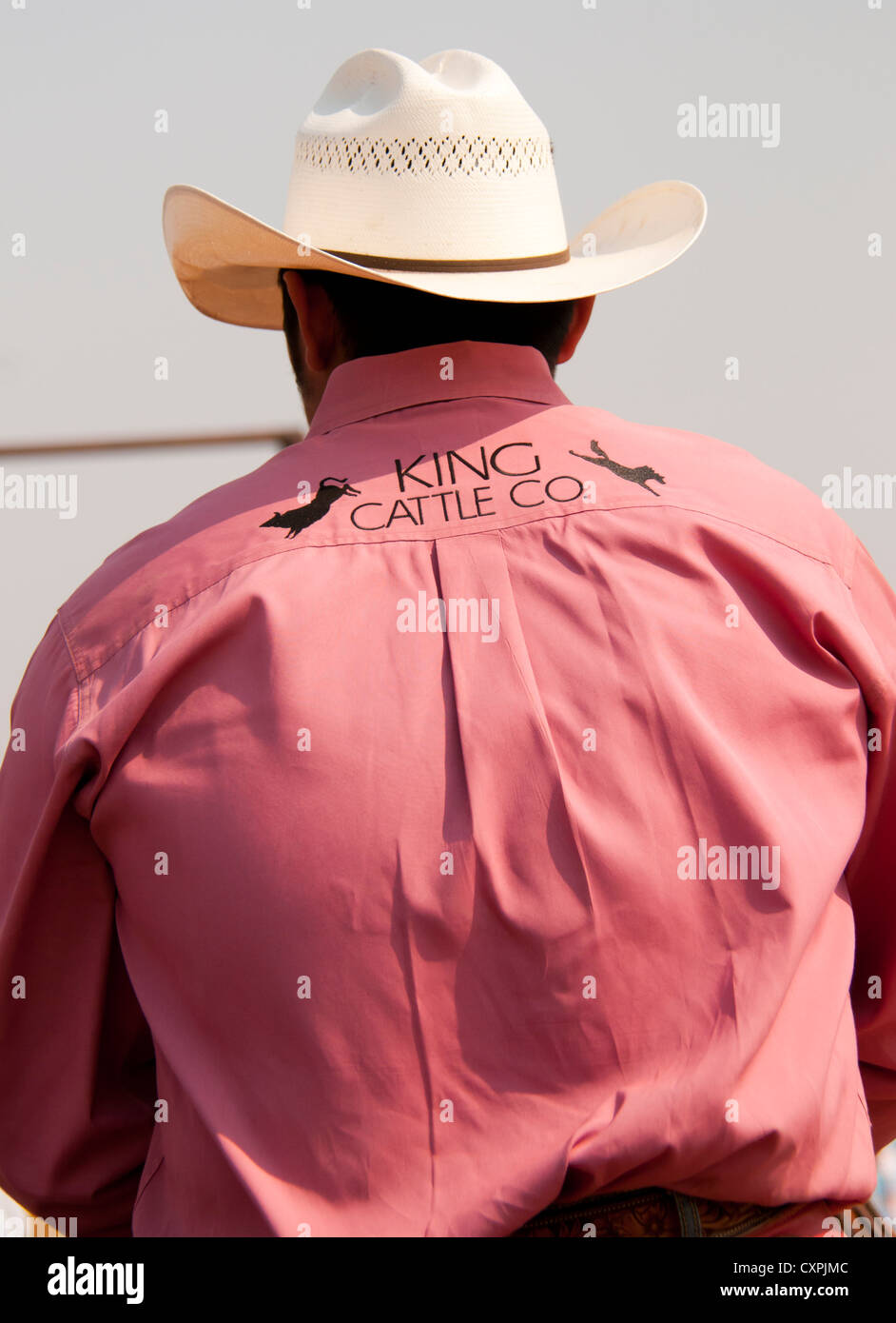 Cowboy, Rodeo, Bruneau, California, USA Banque D'Images