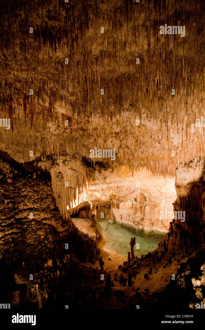 Mallorca Coves del Drac Cuevas del Drach Cave (Grotte du Dragon), Porto Cristo, Majorque, Îles Baléares, Espagne Banque D'Images