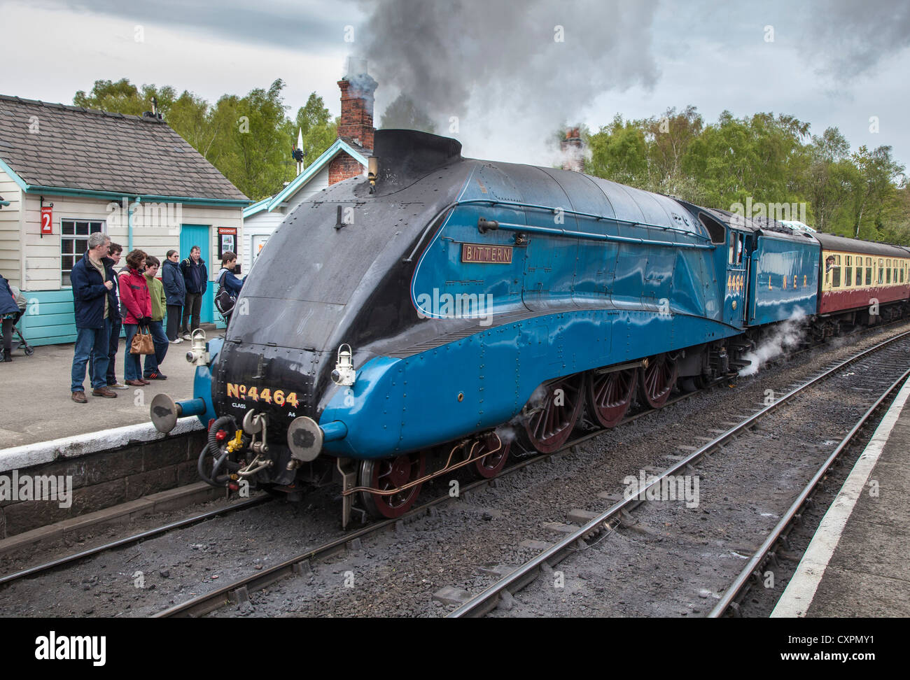 LNER Classe A4 4464 moteur à vapeur Petit Blongios Grosmont, North York Moors Railway Banque D'Images
