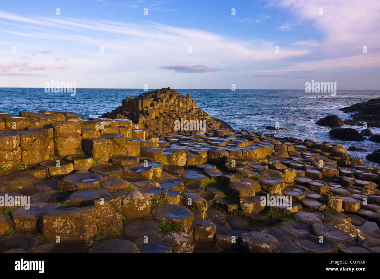 La Formation de la roche basaltique, Giant's Causeway, comté d'Antrim, en Irlande du Nord, Royaume-Uni, Europe Banque D'Images