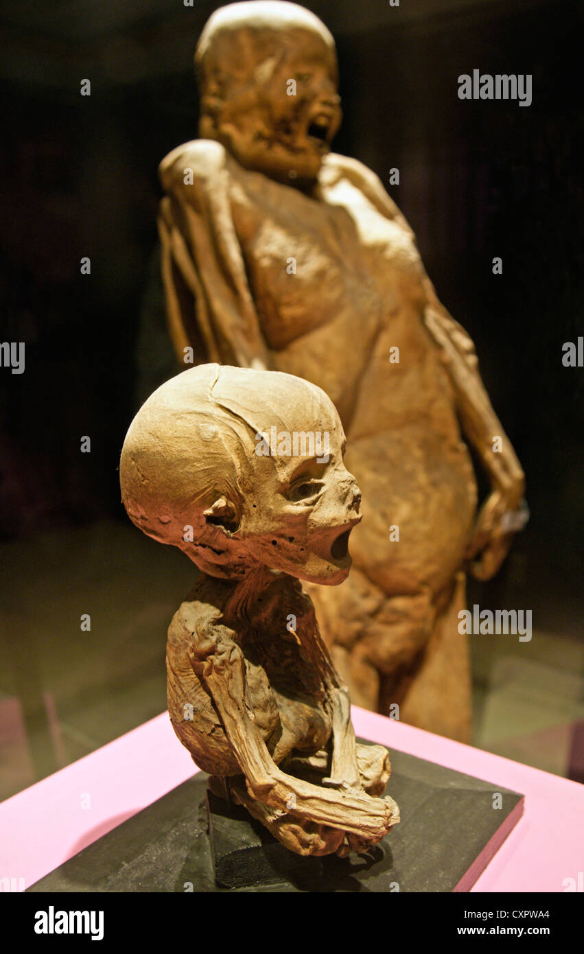Guanajuato's Museo de las Momias avec corps momifiés des foetus et sa mère enceinte en cas d'affichage en verre Banque D'Images