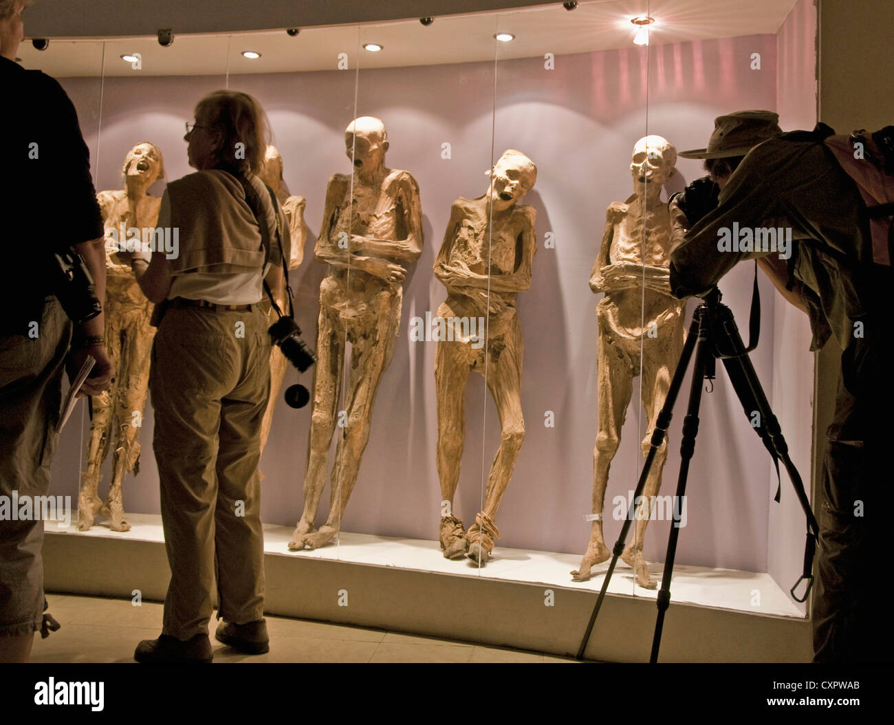 Guanajuato's Museo de las Momias avec corps momifiés dans vitrines Banque D'Images