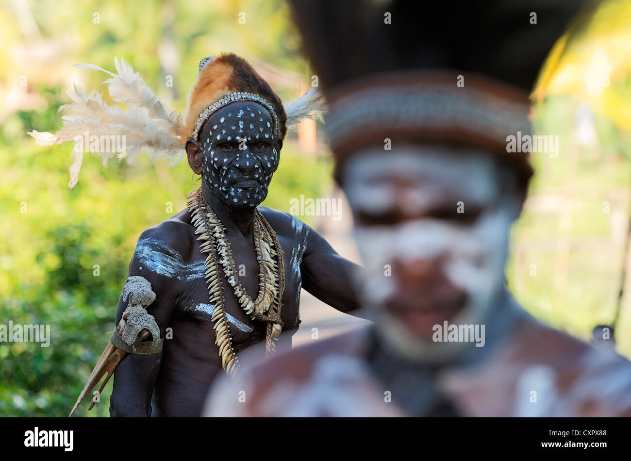 Api Asmat Asmat art Banque de photographies et d’images à haute résolution - Alamy