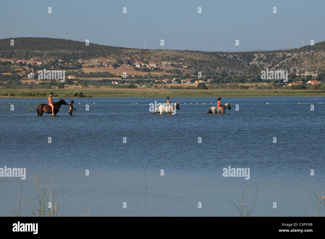Trois enfants de l'équitation dans les eaux de Vransko jezero (lac de Vrana) près de Pakostane, Croatie. Banque D'Images