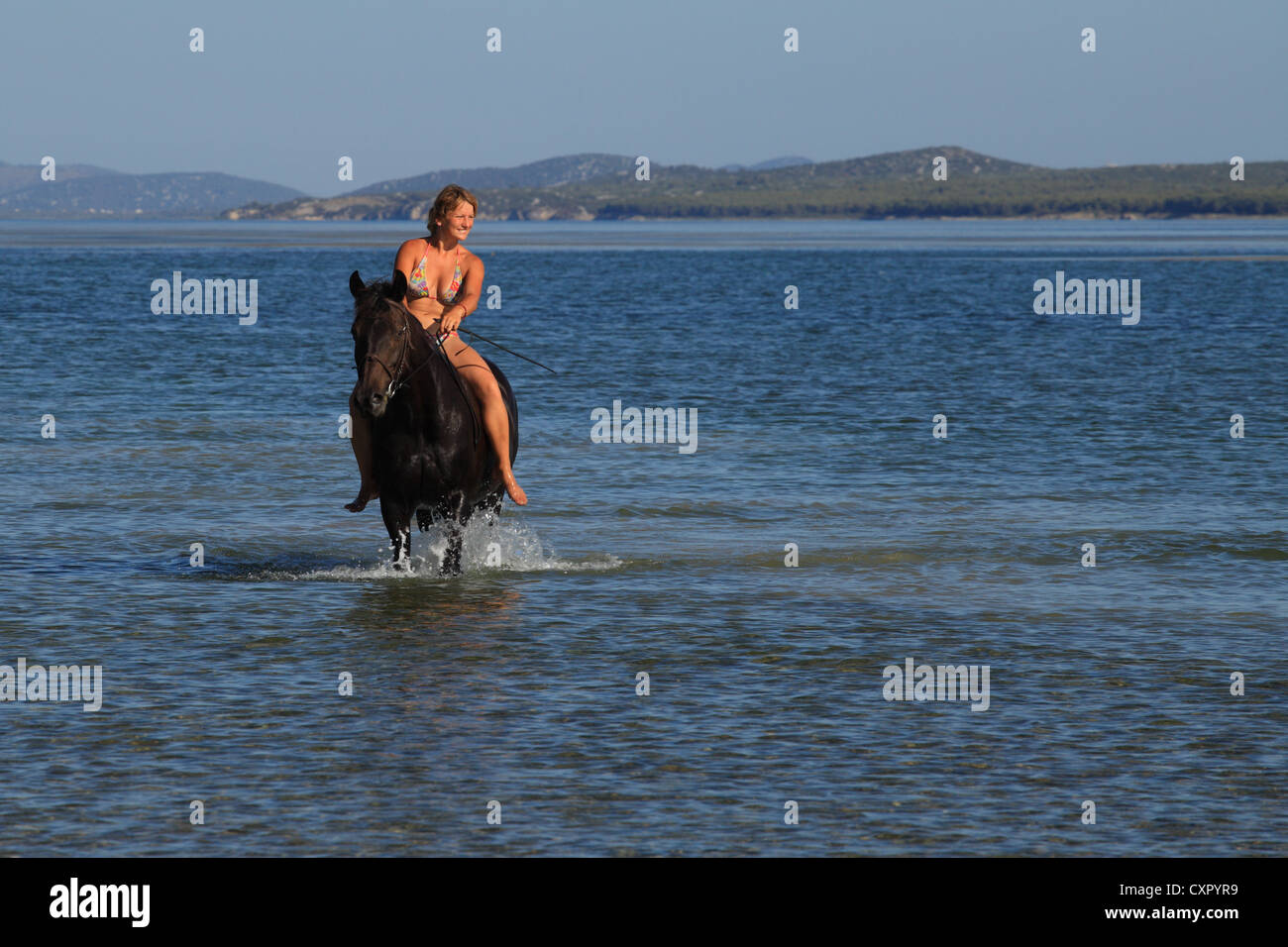 Jeune femme montant un cheval dans les eaux de Vransko jezero (lac de Vrana) près de Pakostane, Croatie. Banque D'Images