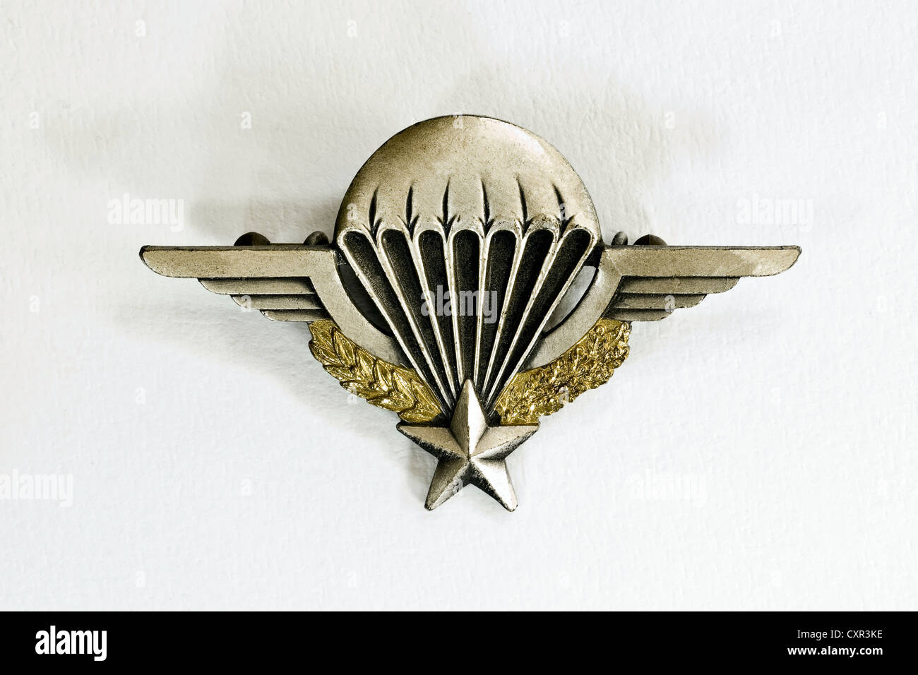 Insigne de parachutiste francais Banque de photographies et d’images à