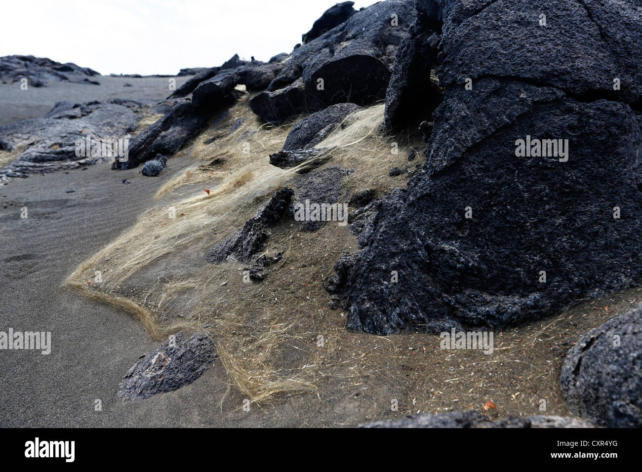 Les cheveux de Pele, fine fibre de verre volcanique provenant de l'éruption du volcan Kilauea, Hawaii Volcanoes National Park Banque D'Images