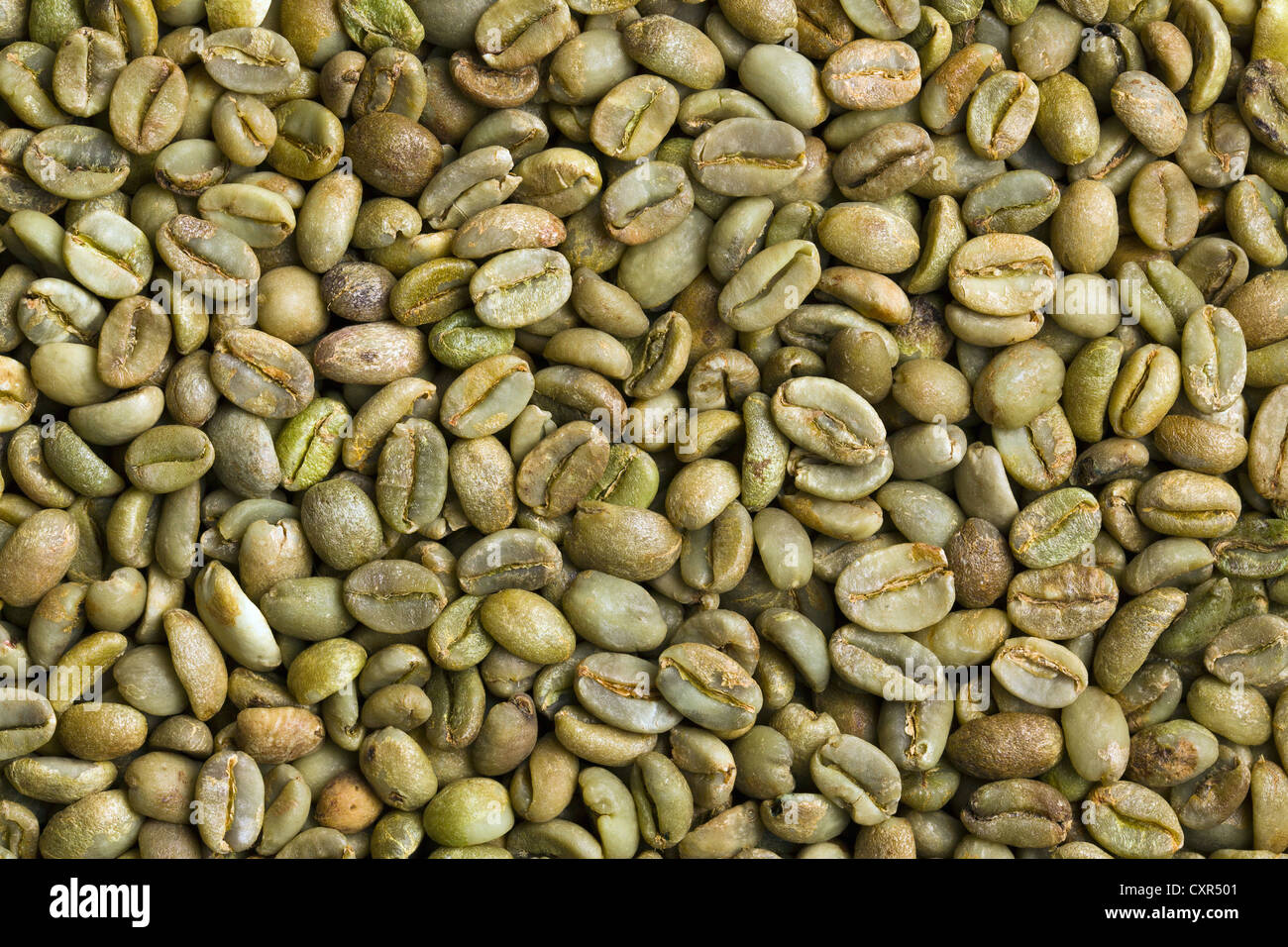 Les grains de café vert contexte Banque D'Images