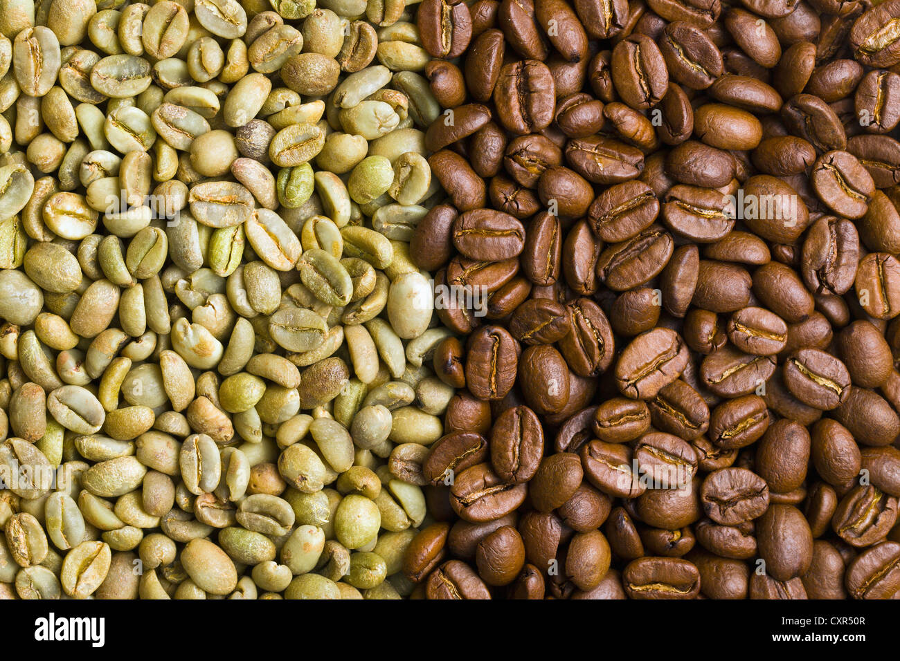 Le vert et les grains de café torréfiés background Banque D'Images