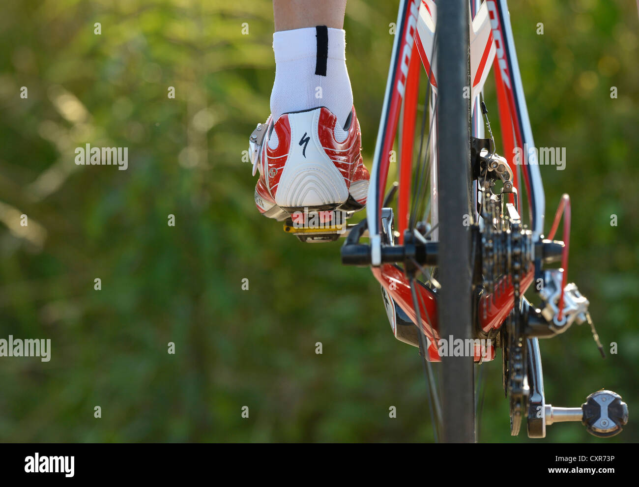 Chaussure de course route, vélo de course professionnel, Waiblingen, Bade-Wurtemberg, Allemagne, Europe, PublicGround Banque D'Images