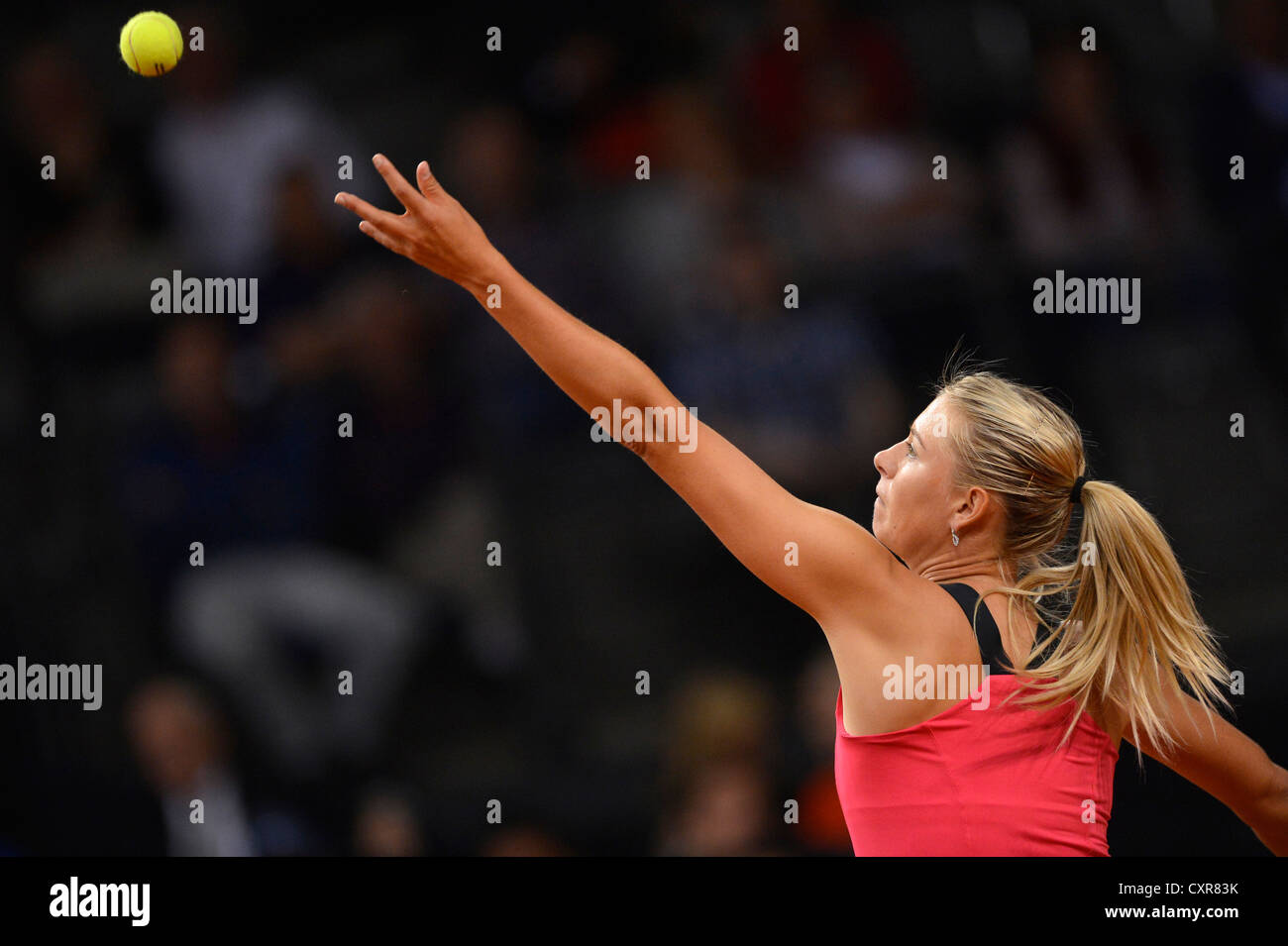 Maria Sharapova, RUS, Porsche Tennis Grand Prix, Porsche Cup, féminin, Porsche-Arena, Stuttgart, Bade-Wurtemberg Banque D'Images