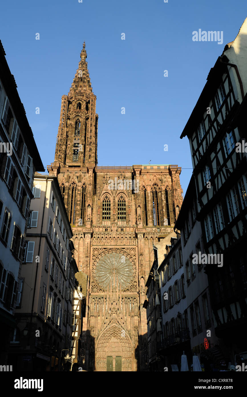 Portail principal, façade ouest, la cathédrale de Strasbourg ou de la cathédrale de Notre Dame de Strasbourg, Cathédrale Notre-Dame-de-Strasbourg Banque D'Images