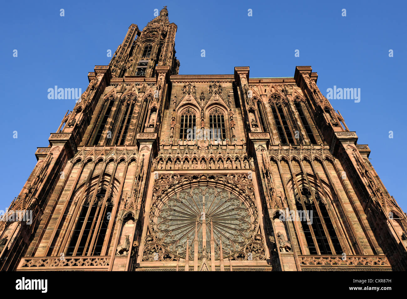 Façade ouest, la cathédrale de Strasbourg ou de la cathédrale de Notre Dame de Strasbourg, Cathédrale Notre-Dame-de-Strasbourg, Strasbourg Banque D'Images