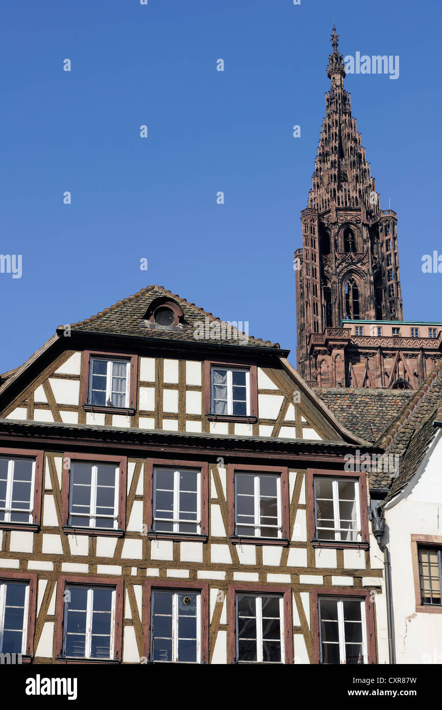 Maison à colombages sur la Place du Marché aux cochons de lait square, la cathédrale de Strasbourg ou la cathédrale de Notre-Dame de Banque D'Images