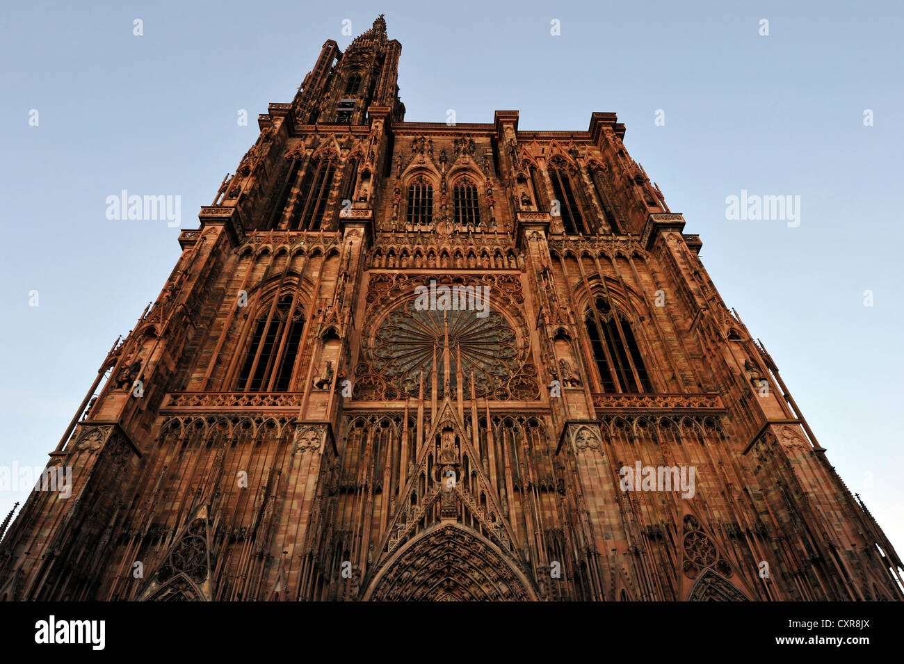 La cathédrale de Strasbourg, la cathédrale de Notre Dame de Strasbourg, Strasbourg, département du Bas-Rhin, Alsace, France, Europe Banque D'Images