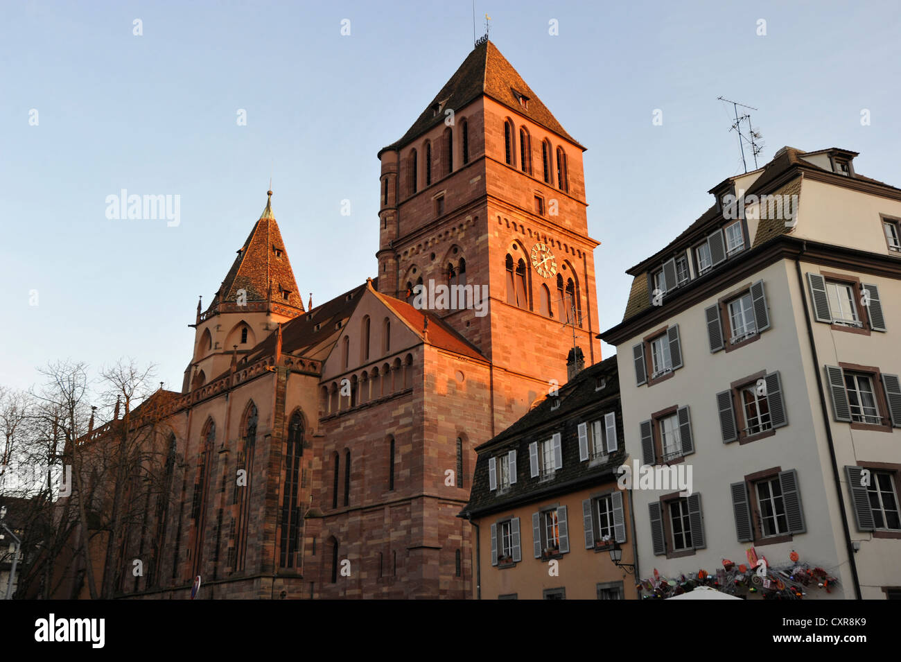 Façade nord, l'église Saint-Thomas, l'Église église Saint-Thomas, à Strasbourg, département du Bas-Rhin, Alsace, France, Europe Banque D'Images