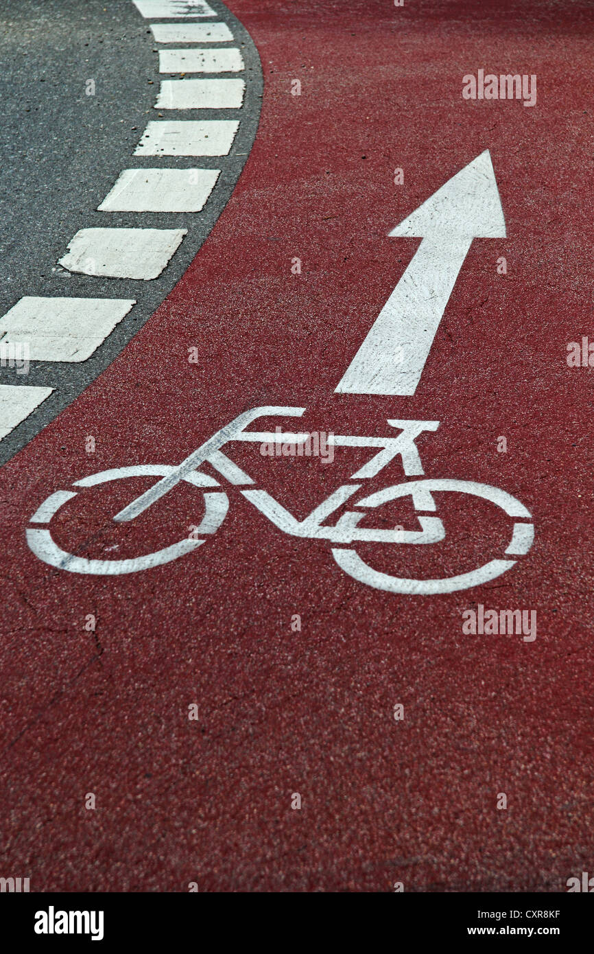 Piste cyclable, le marquage routier sur l'asphalte, flèche d'orientation, le sens de marche Banque D'Images