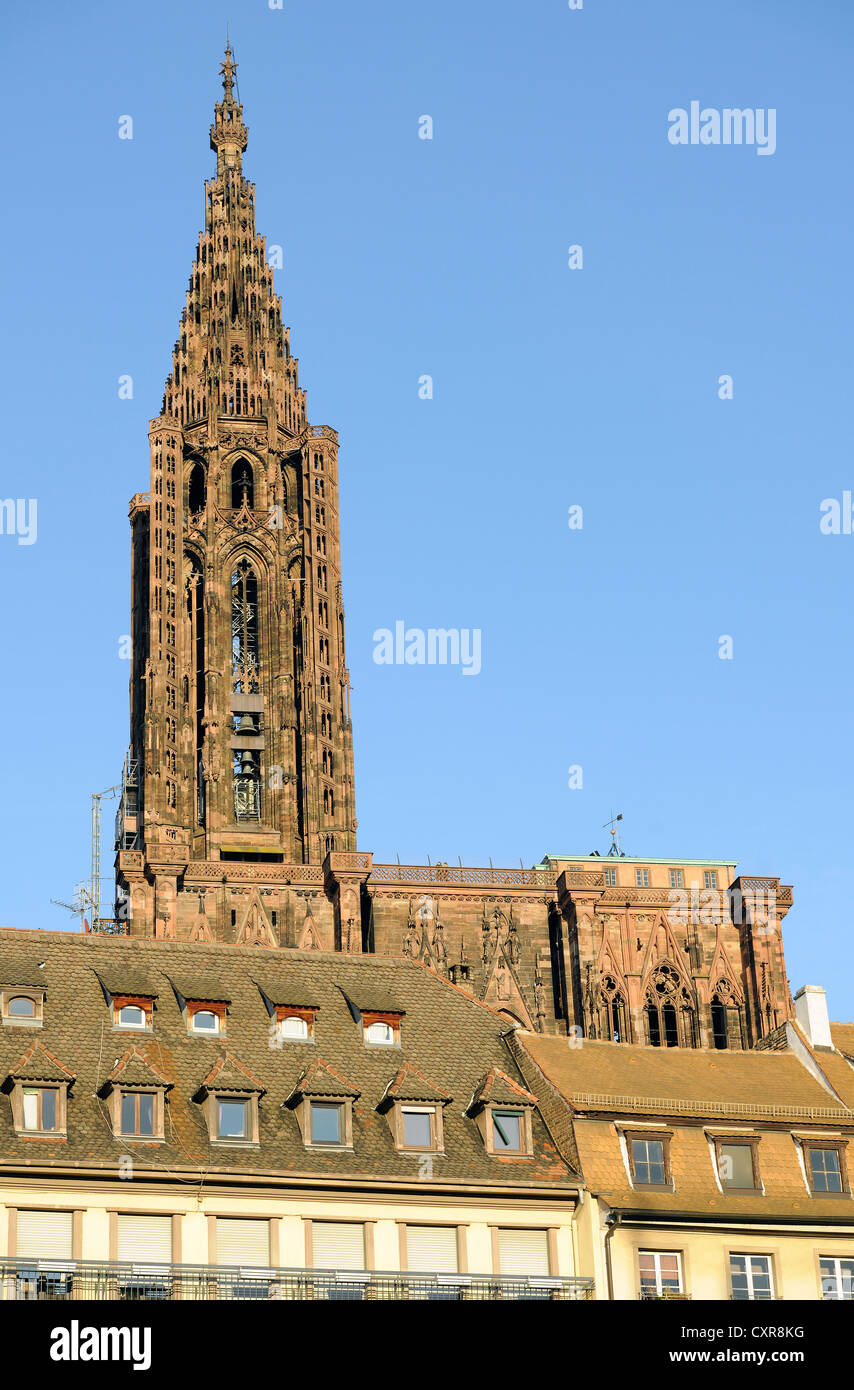 La tour Nord, côté sud, la cathédrale de Strasbourg, la cathédrale de Notre Dame de Strasbourg, Strasbourg, Bas-Rhin, Alsace Banque D'Images