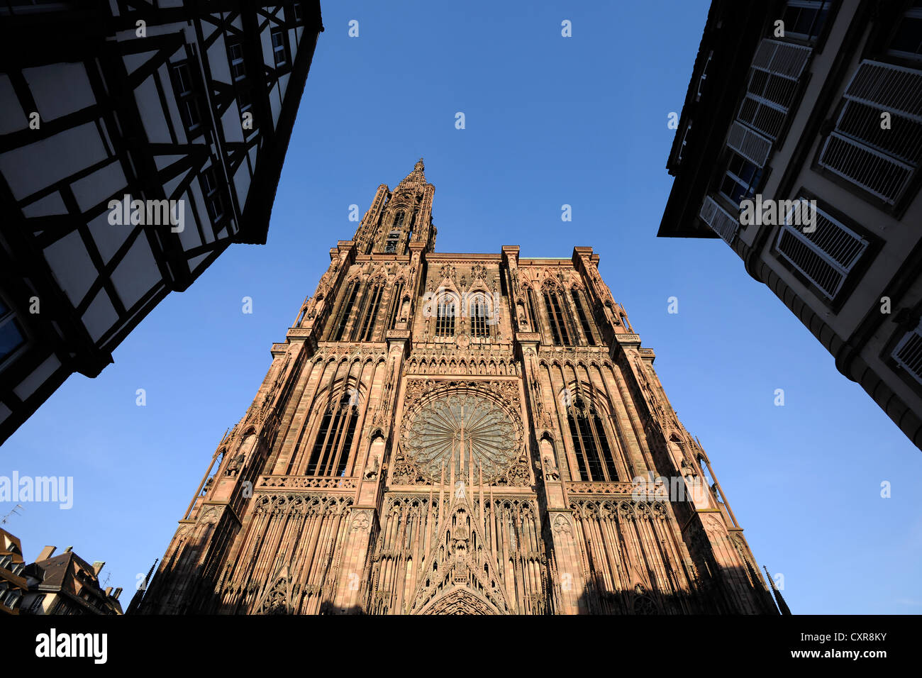 Façade ouest, la cathédrale de Strasbourg, la cathédrale de Notre Dame de Strasbourg, Strasbourg, Bas-Rhin, Alsace, France, Europe Banque D'Images