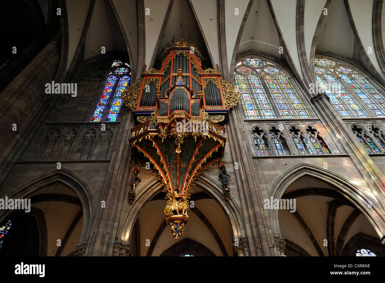 Orgue dans la nef, avec son boîtier gothique préservé, nef, vue de l'intérieur, la cathédrale de Strasbourg, la cathédrale de Notre Dame de Banque D'Images