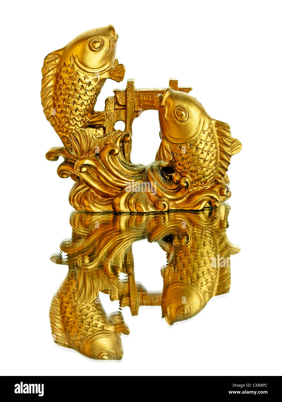 Symbole chinois pour la chance, jaillissant carps Banque D'Images