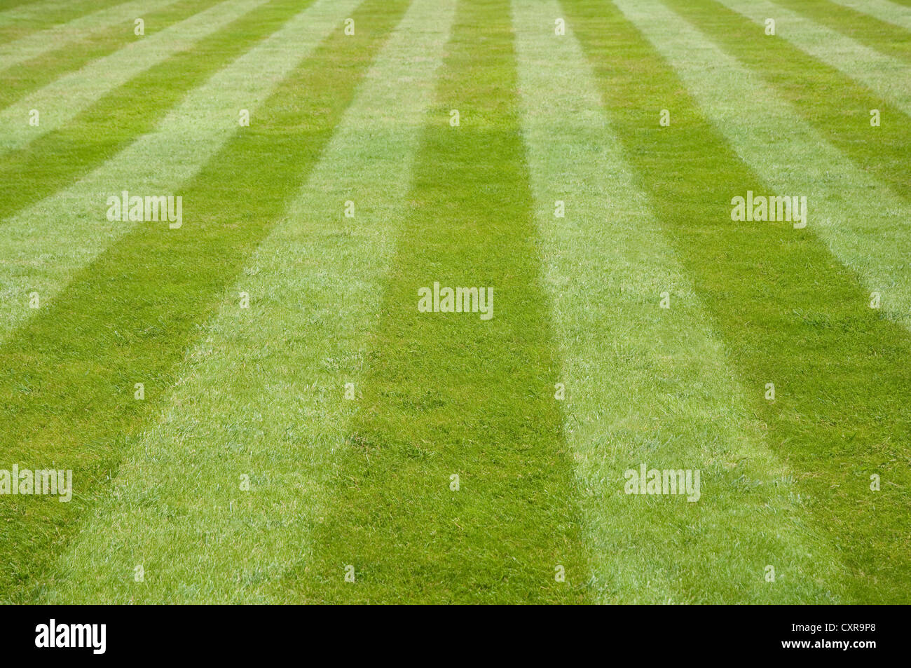 Bandes sur une pelouse. Banque D'Images