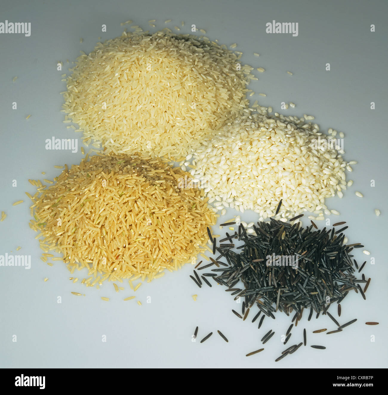 Des piles de la cuisson du riz arborio, brown,, à grains et riz sauvage Banque D'Images