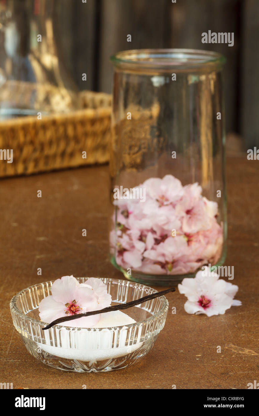 Ingrédients pour la liqueur de fleur d'amandier Banque D'Images