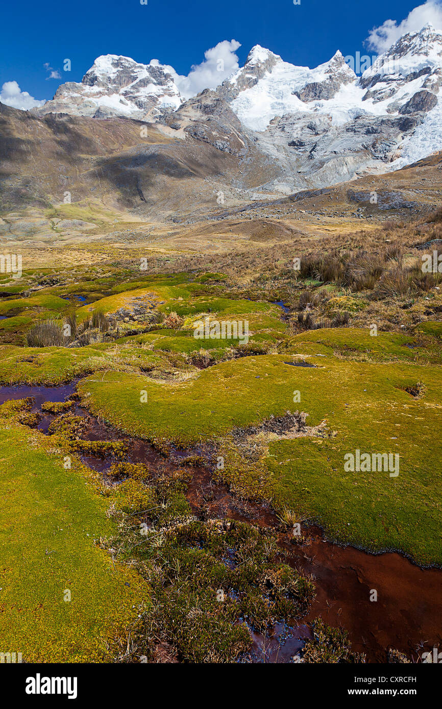 Paysage de la Cordillère Huayhuash moussue, montagnes, les Andes, le Pérou, Amérique du Sud Banque D'Images