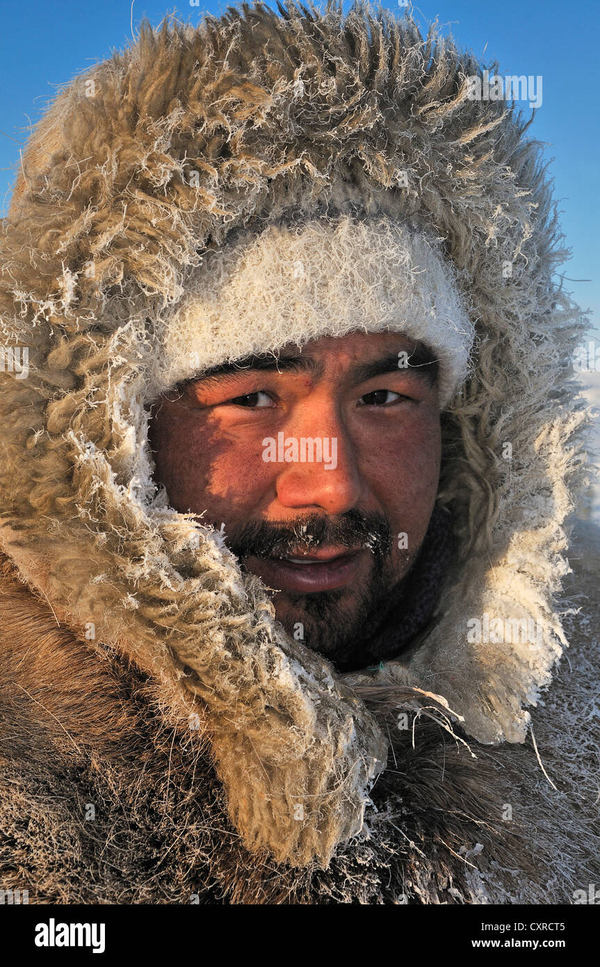 Guide de traîneau à chiens portant une parka fabriqués à partir de fourrure de chien, portrait, fjord Ilulissat, Groenland, l'Arctique nord-américain Banque D'Images