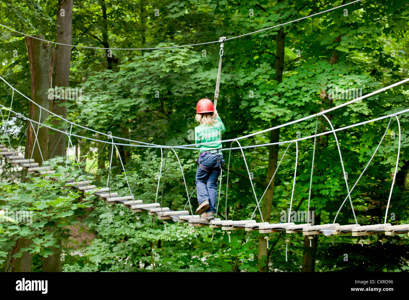 Fille, 8 ans, à l'escalade, parcours de cordes Hochseilgarten haut, Straubing, Bavaria, Germany, Europe Banque D'Images