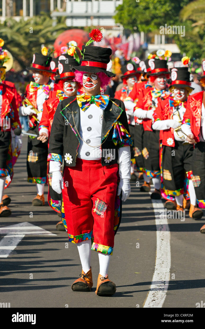 Carnaval de rue à Santa Cruz, la capitale de Tenerife, Canaries, Espagne, Europe Banque D'Images