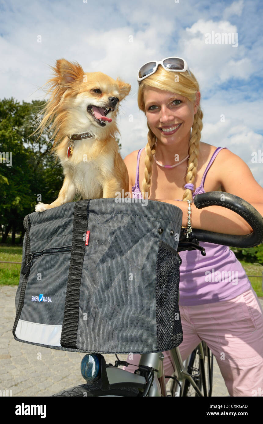 Femme avec un chien chihuahua dans le panier de son vélo Banque D'Images