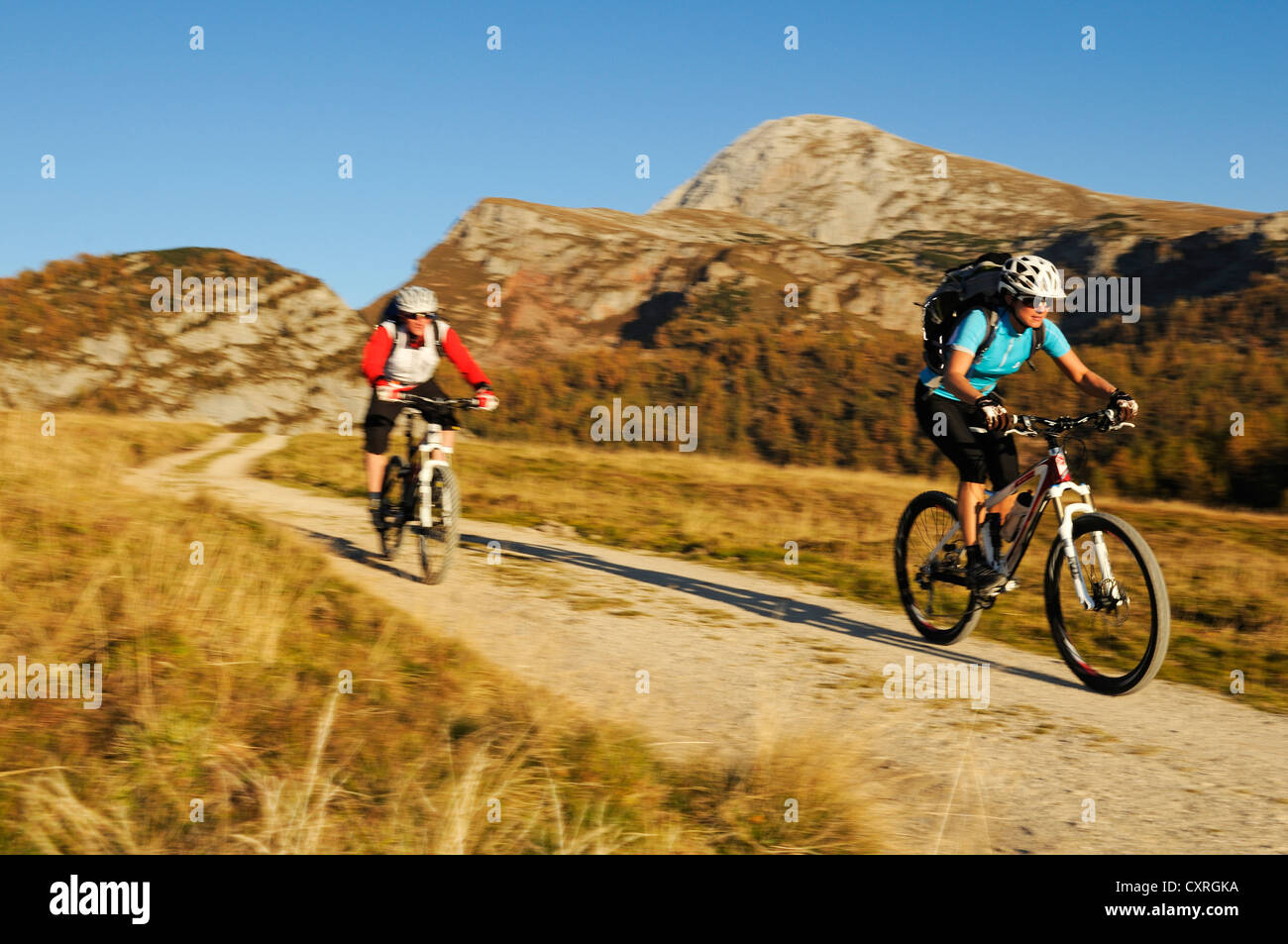 Les cyclistes de montagne en route vers Gotzenalm alp, Berchtesgadener Land, district de Haute-bavière, Bavaria, Germany, Europe Banque D'Images