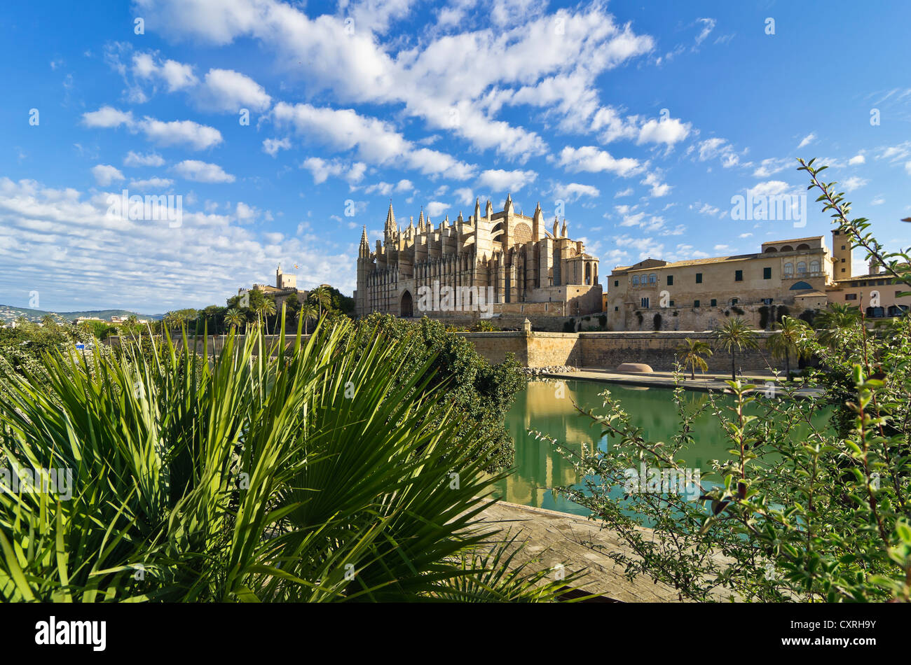 La Seu Cathedral ou la cathédrale de Palma, Vieille Ville, Palma, Majorque, Majorque, Iles Baléares, Espagne, Europe Banque D'Images