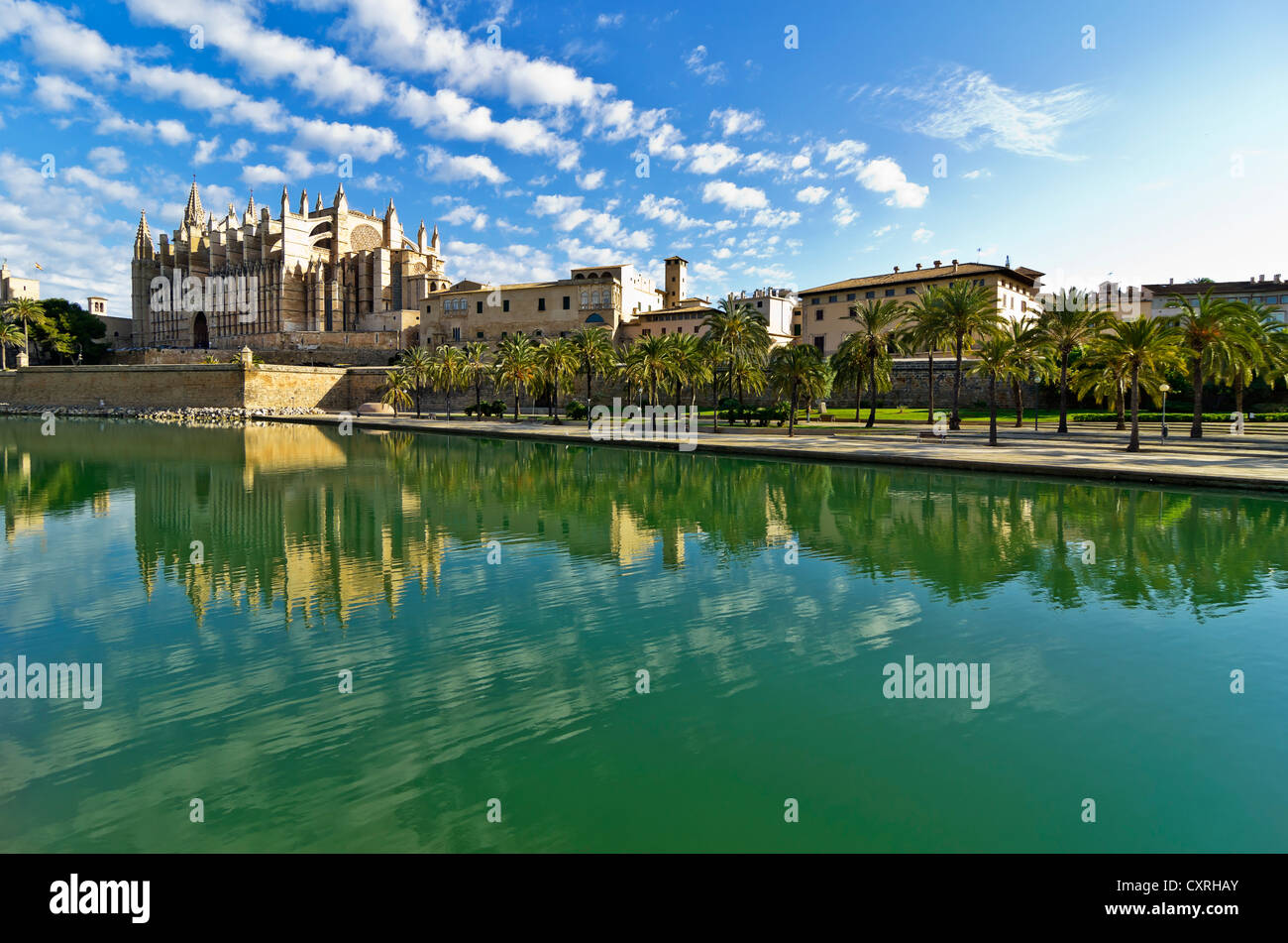 La Seu Cathedral ou la cathédrale de Palma, Vieille Ville, Palma, Majorque, Majorque, Iles Baléares, Espagne, Europe Banque D'Images