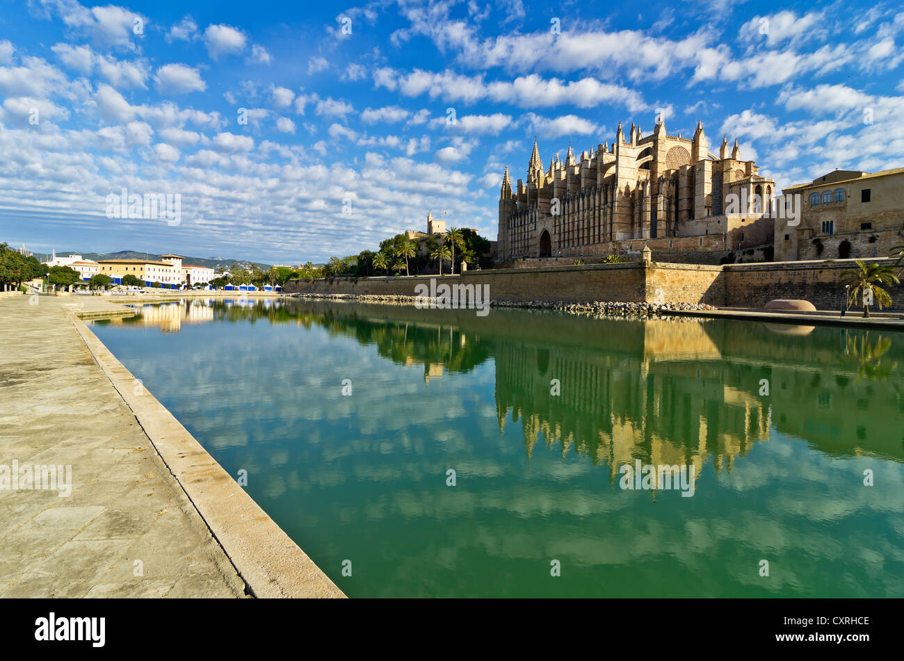 La Seu Cathedral ou la cathédrale de Palma, Vieille Ville, Palma, Majorque, Majorque, Iles Baléares, Espagne, Europe Banque D'Images