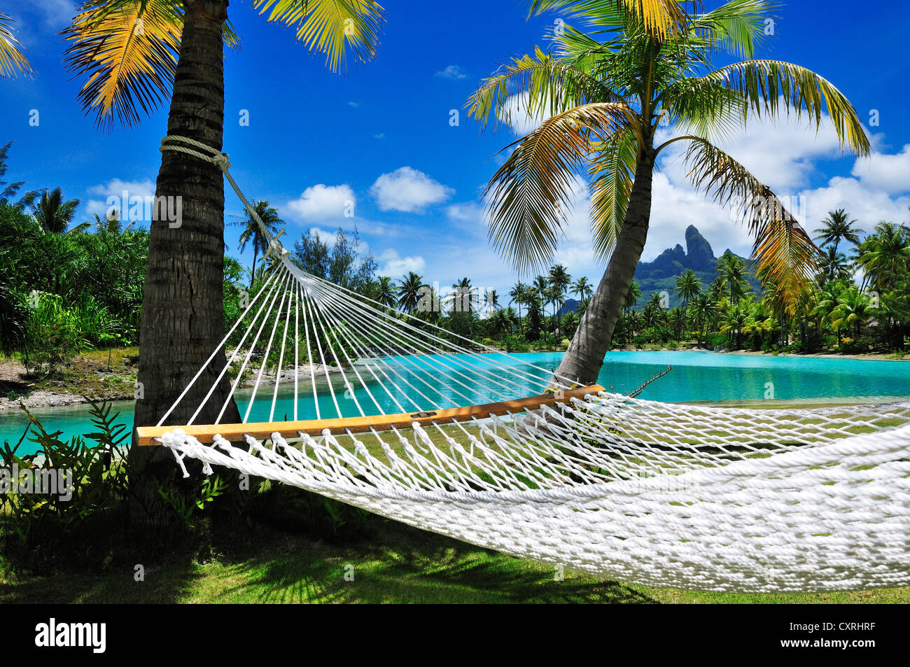 Hamac, St Regis Bora Bora Resort, Bora Bora, Iles sous le Vent, îles de la société, Polynésie française, l'Océan Pacifique Banque D'Images