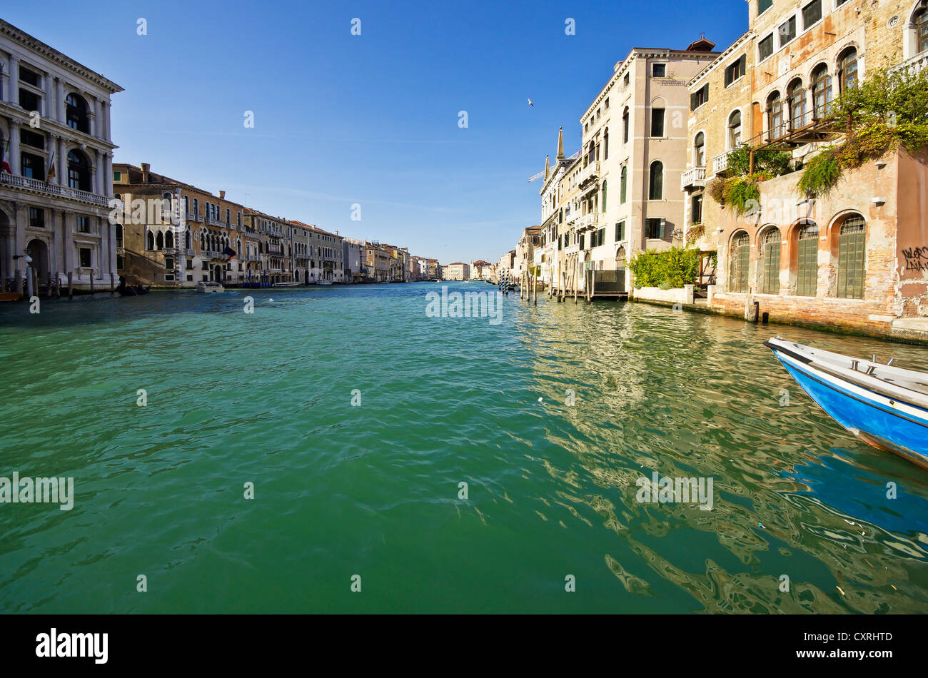 Bâtiments le long du Canal Grande ou Grand Canal, Venise, Venise, Vénétie, Italie, Europe Banque D'Images