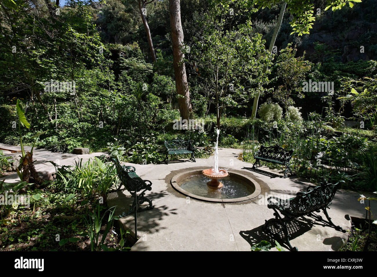 La Mortella, jardins méditerranéens de Sir William Walton, Forio, l'île de Ischia, dans le golfe de Naples, Campanie, Italie du Sud, Italie Banque D'Images