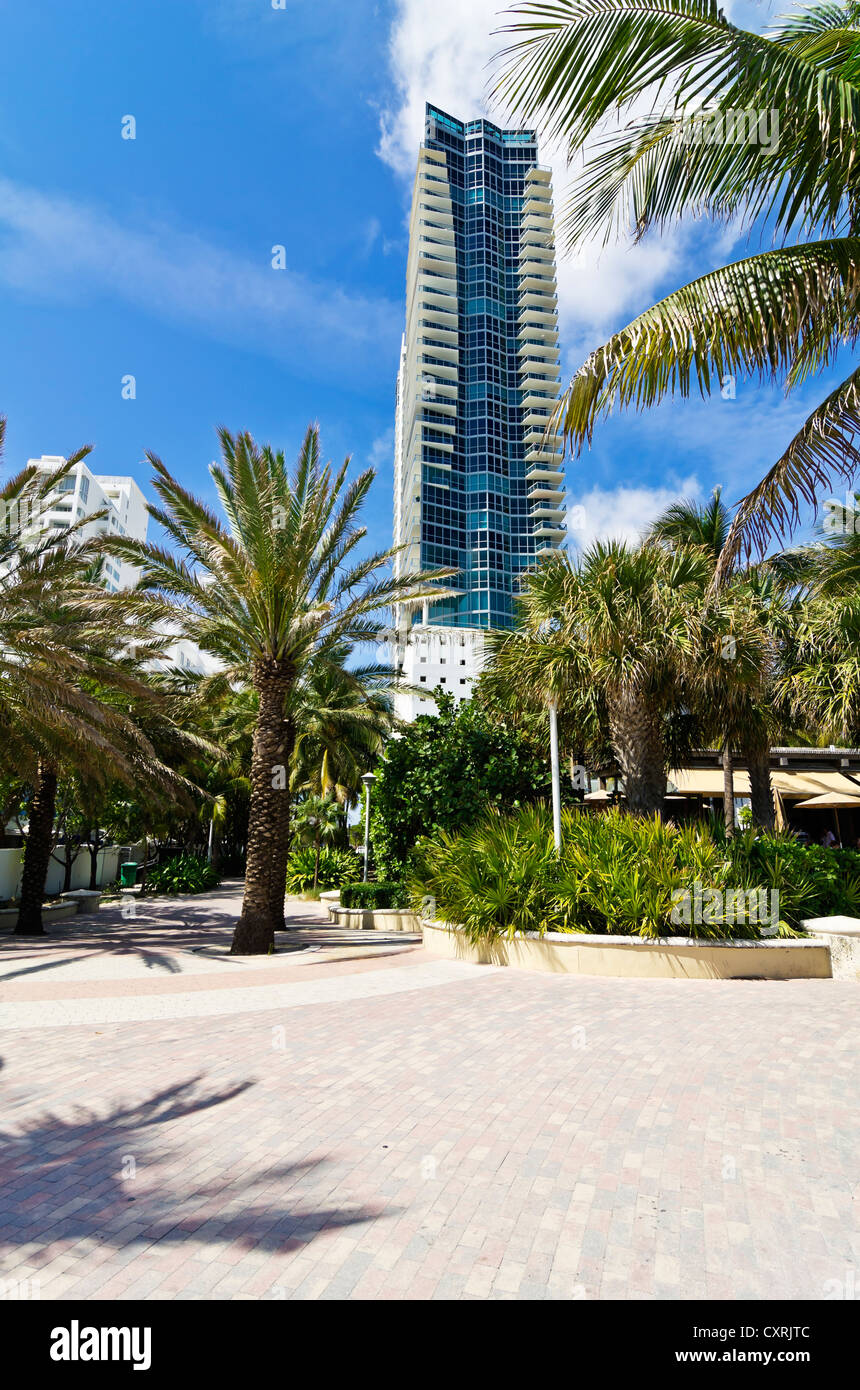 Immeuble de grande hauteur sur Collins Avenue, vu depuis le côté plage, Miami Beach, Florida, USA Banque D'Images