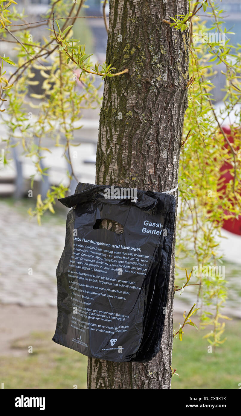 Des sacs pour l'élimination des déchets de chien sur un arbre dans la HafenCity de Hambourg, Hambourg, Allemagne, Europe Banque D'Images